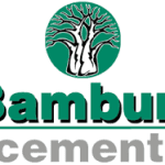 Concerns Raised Over Protection of Small Shareholders in Bamburi Cement Takeover Bid