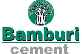 Concerns Raised Over Protection of Small Shareholders in Bamburi Cement Takeover Bid