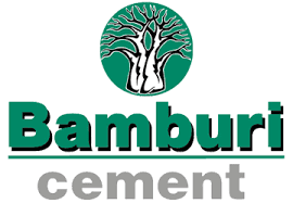 Concerns Raised Over Protection of Small Shareholders in Bamburi Cement Takeover Bid