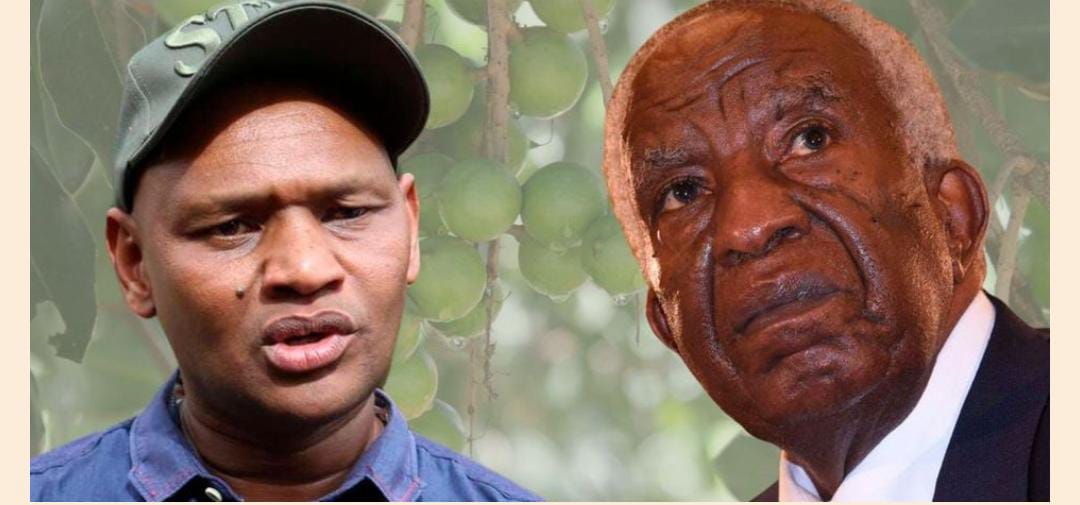 Macadamia Moguls on the Brink: Billionaires Munga and Wainaina Face Auctioneers’ Hammer