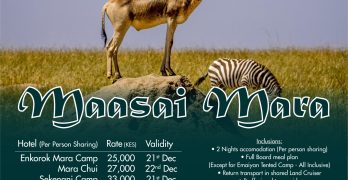 Explore the World with Kotville Tours: Affordable Getaways to Maasai Mara, Naivasha, Elementaita, and Dubai