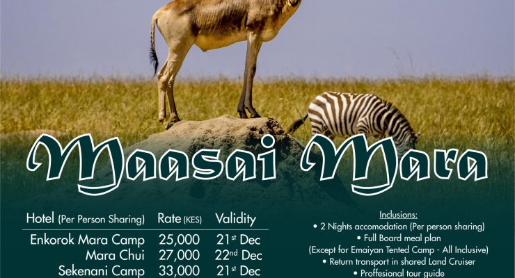 Explore the World with Kotville Tours: Affordable Getaways to Maasai Mara, Naivasha, Elementaita, and Dubai