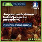 KCB Foundation Launches Poultry Farming Training Program