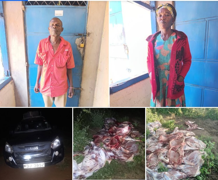 Police Bust Illegal Donkey Slaughter Ring Supplying Meat to Nairobi